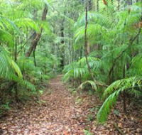 Delicia Road Conservation Park - Hervey Bay Accommodation