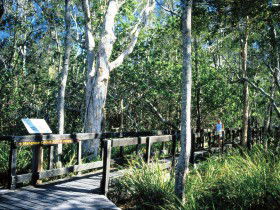Kinaba Track - Tourism Hervey Bay 0