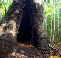 Tewantin National Park - Hervey Bay Accommodation