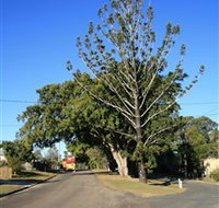 Anzac Avenue Memorial Trees Beerburrum - Hervey Bay Accommodation
