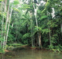 Mount Allan Trail