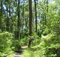 Mapleton Falls National Park - Hervey Bay Accommodation