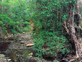 Mudlo National Park - Hervey Bay Accommodation 0