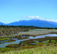 Eubenangee Swamp National Park - Hervey Bay Accommodation