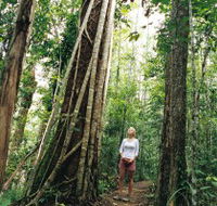 Wet Tropics - Tourism Hervey Bay