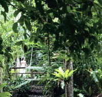 Flecker Botanic Gardens - Tourism Hervey Bay