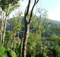 Smiths Track Barron Gorge National Park - Tourism Hervey Bay