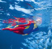 Pixie Pinnacle Dive Site - Tourism Hervey Bay