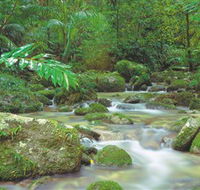 Mossman Gorge Daintree National Park - Tourism Hervey Bay