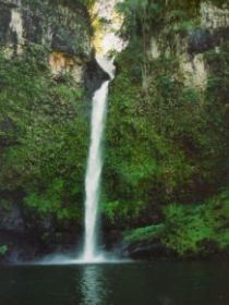 Nandroya Falls Circuit Track, Wooroonooran National Park - Hervey Bay Accommodation 0