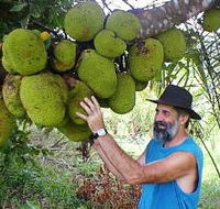 Cape Trib Exotic Fruit Farm - Tourism Hervey Bay