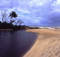 Russell River National Park - Hervey Bay Accommodation