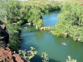 Wild Dog Dreaming, Boodjamulla (Lawn Hill) National Park - Hervey Bay Accommodation 0