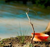 Charleville - Mangalore Warrego River Fishing Spot - Hervey Bay Accommodation