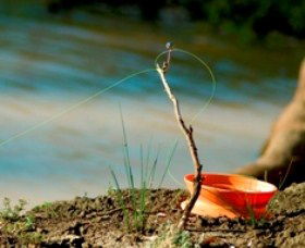 Charleville - Mangalore Warrego River Fishing Spot - Hervey Bay Accommodation 0
