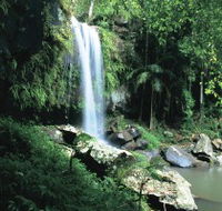 Curtis Falls Joalah Section - Tourism Hervey Bay