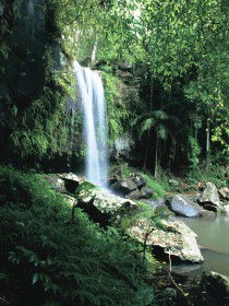 Curtis Falls, Joalah Section - Tourism Hervey Bay 0