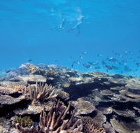 Australian Institute of Marine Science - Hervey Bay Accommodation