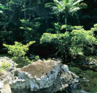 Conway State Forest