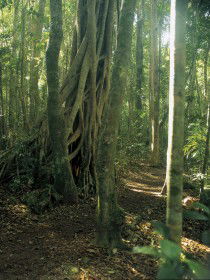  Hervey Bay Accommodation