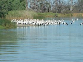  Hervey Bay Accommodation