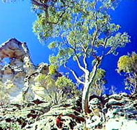 Mount Moffatt Section - Carnarvon National Park - Tourism Hervey Bay