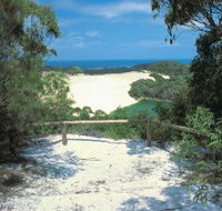 Lake Wabby Track