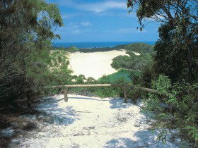 Lake Wabby Track - Hervey Bay Accommodation 0