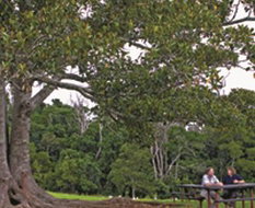 Book Ravensbourne QLD Attractions Hervey Bay Accommodation Hervey Bay Accommodation