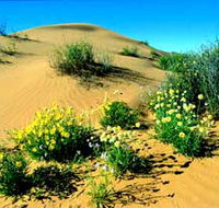 Simpson Desert National Park - Tourism Hervey Bay
