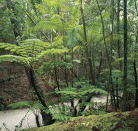 Fraser Island Great Walk