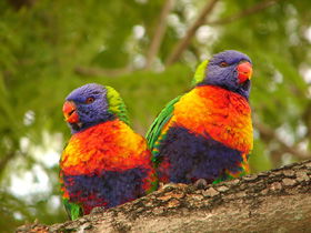 Middlemount QLD Hervey Bay Accommodation
