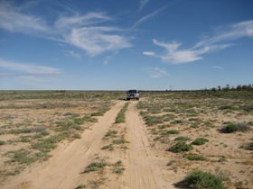 Lake Bindegolly Circuit - Hervey Bay Accommodation 0