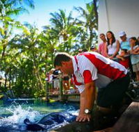 The Living Reef on Daydream Island - Hervey Bay Accommodation