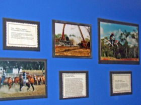 Town Hall Photographic Display - Tourism Hervey Bay 0