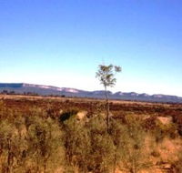 Tambos Wilderness Way - Hervey Bay Accommodation