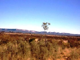 Tambos Wilderness Way - Hervey Bay Accommodation 0