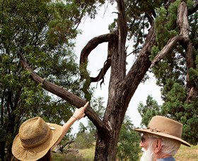 Charleville - Outback Native Timber Walk - Hervey Bay Accommodation 0