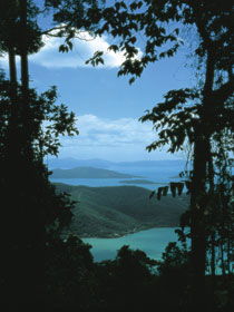 Whitsunday Great Walk - Hervey Bay Accommodation 0