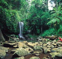Tamborine National Park - Tourism Hervey Bay