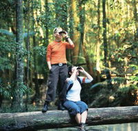 Birdwatching on the Fraser Coast