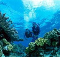 Coral Gardens Dive Site - Hervey Bay Accommodation