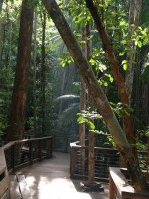 Basin Lake Track - Hervey Bay Accommodation 0