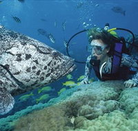 Pelorus Island - Tourism Hervey Bay