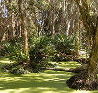 Arkarra Lagoons and Tea Gardens