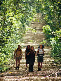 Wet Tropics Great Walk - Hervey Bay Accommodation 0