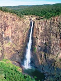 Gugigugi (Butterfly) Walk, Wet Tropics Great Walk - Hervey Bay Accommodation 0