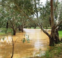 Saddliers Waterhole and Hamburg Creek - Hervey Bay Accommodation