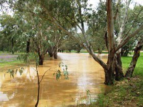 Saddliers Waterhole And Hamburg Creek - Hervey Bay Accommodation 0