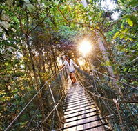Tree Top Walkway - Hervey Bay Accommodation